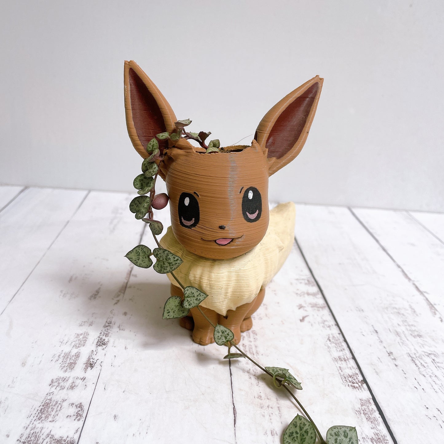 Maceta Pokemom