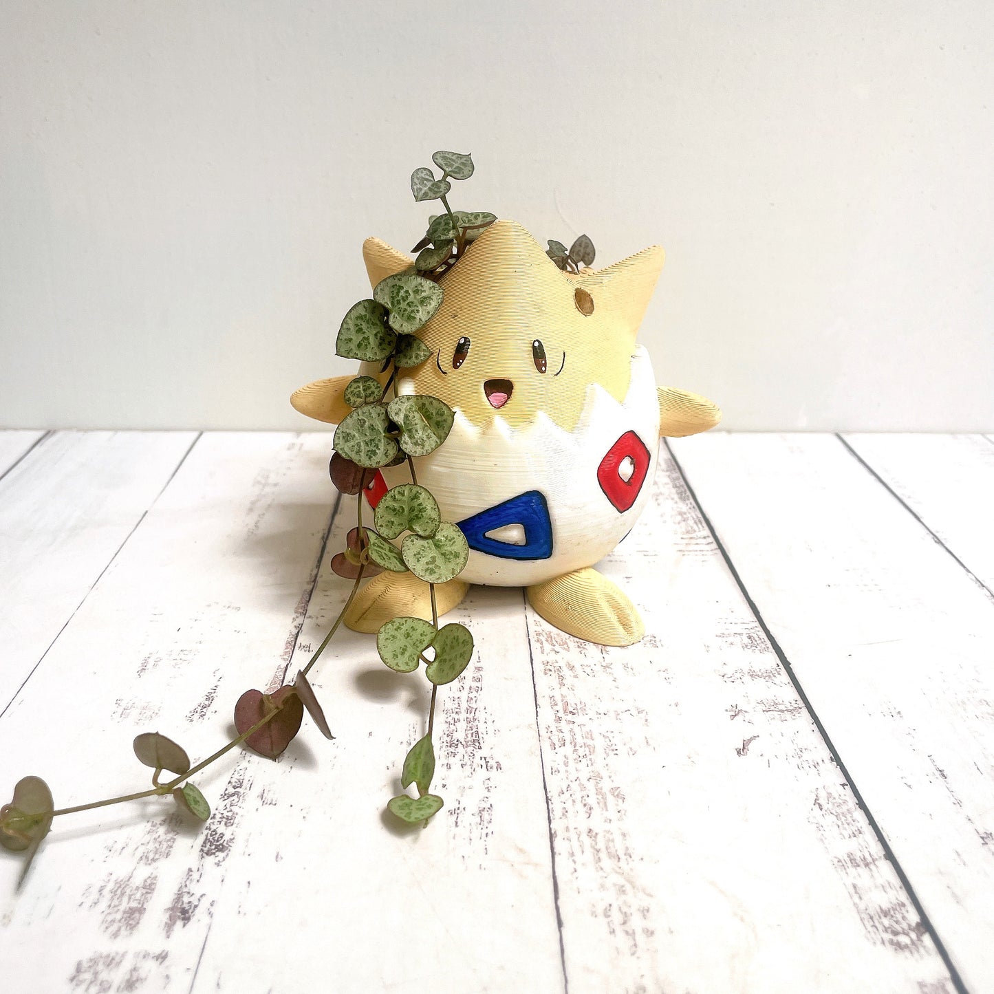 Maceta Pokemom