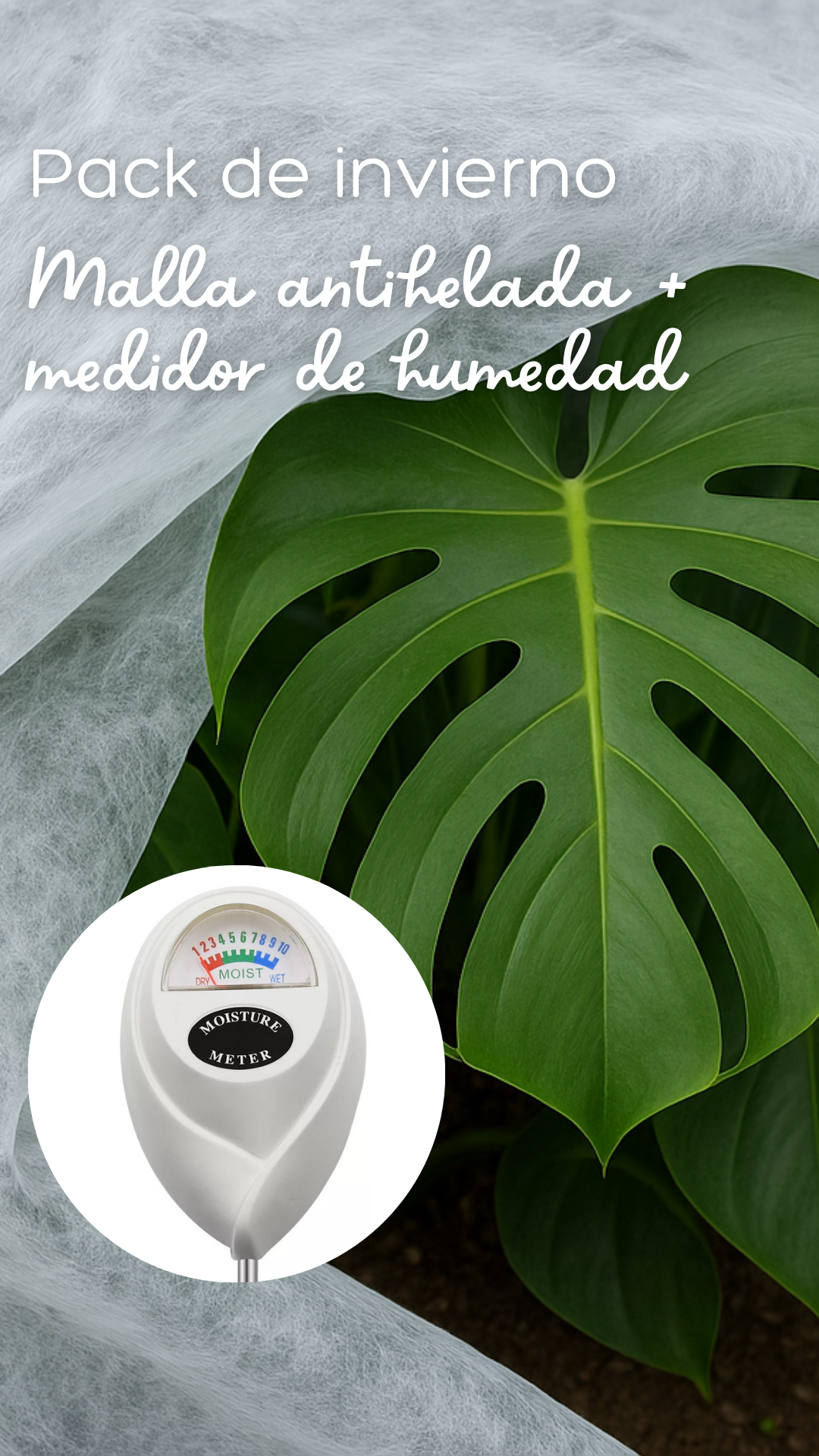 Pack invierno