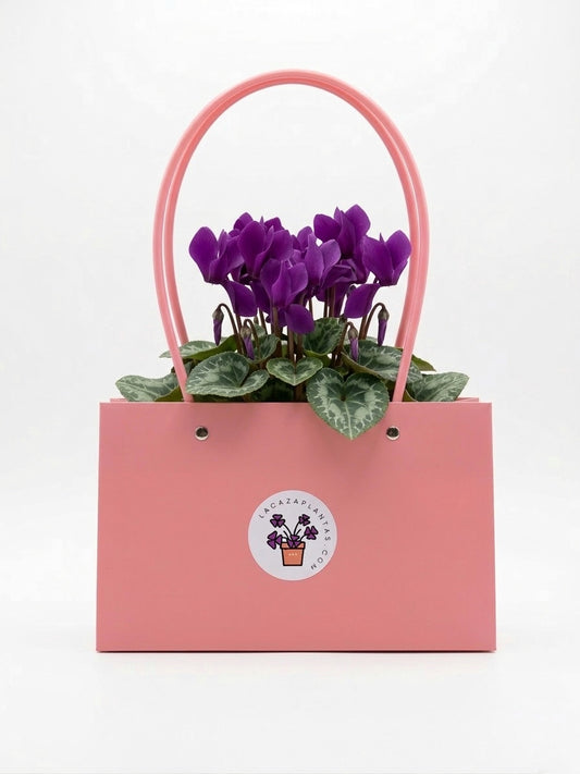 Bolsa de Regalo Rosa (34 cm)