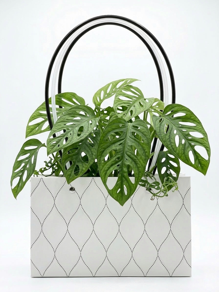 Bolsa de Regalo blanca y dorada (34 cm)
