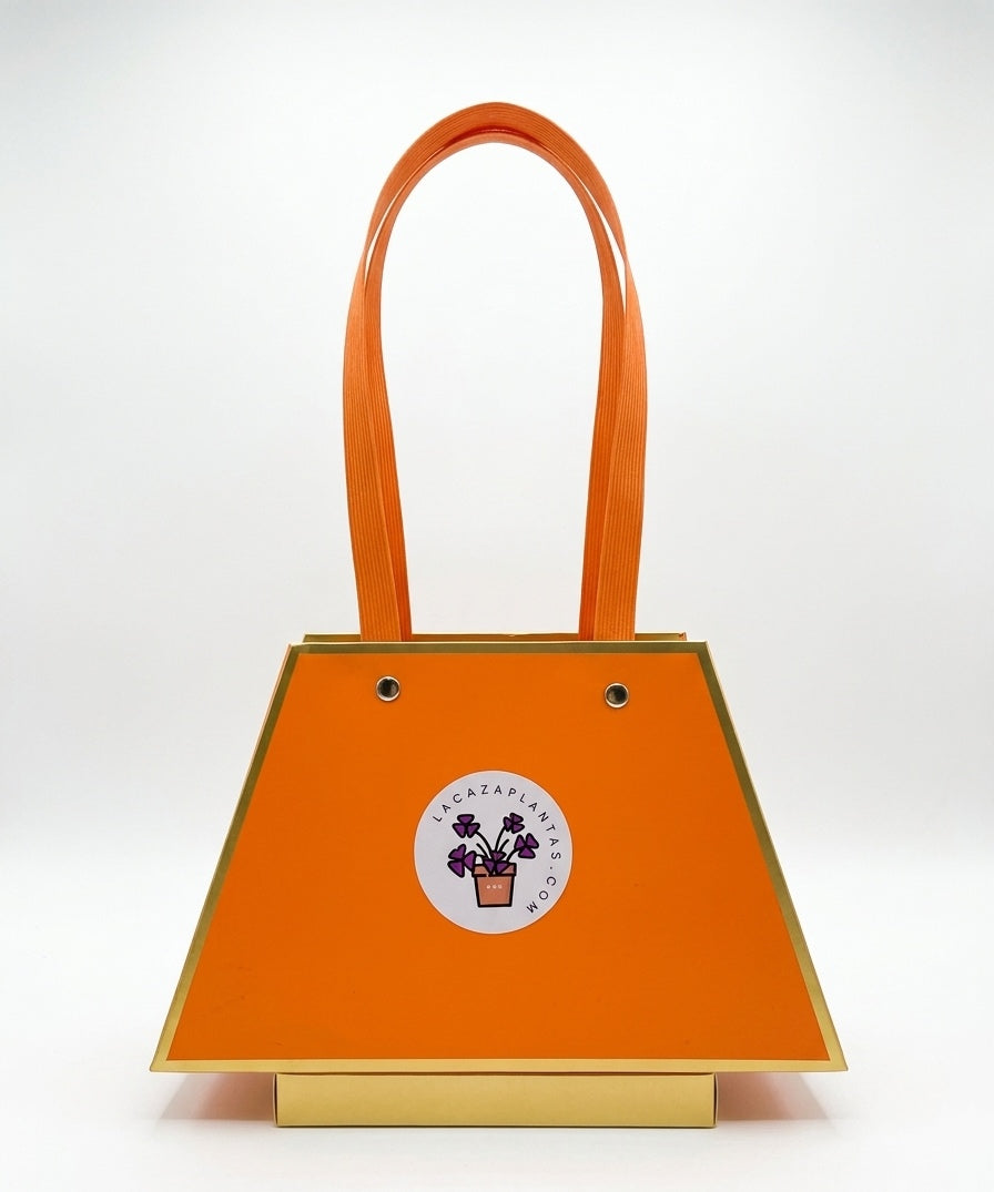 Bolsa de Regalo Naranja con Detalles Dorados (30 cm)