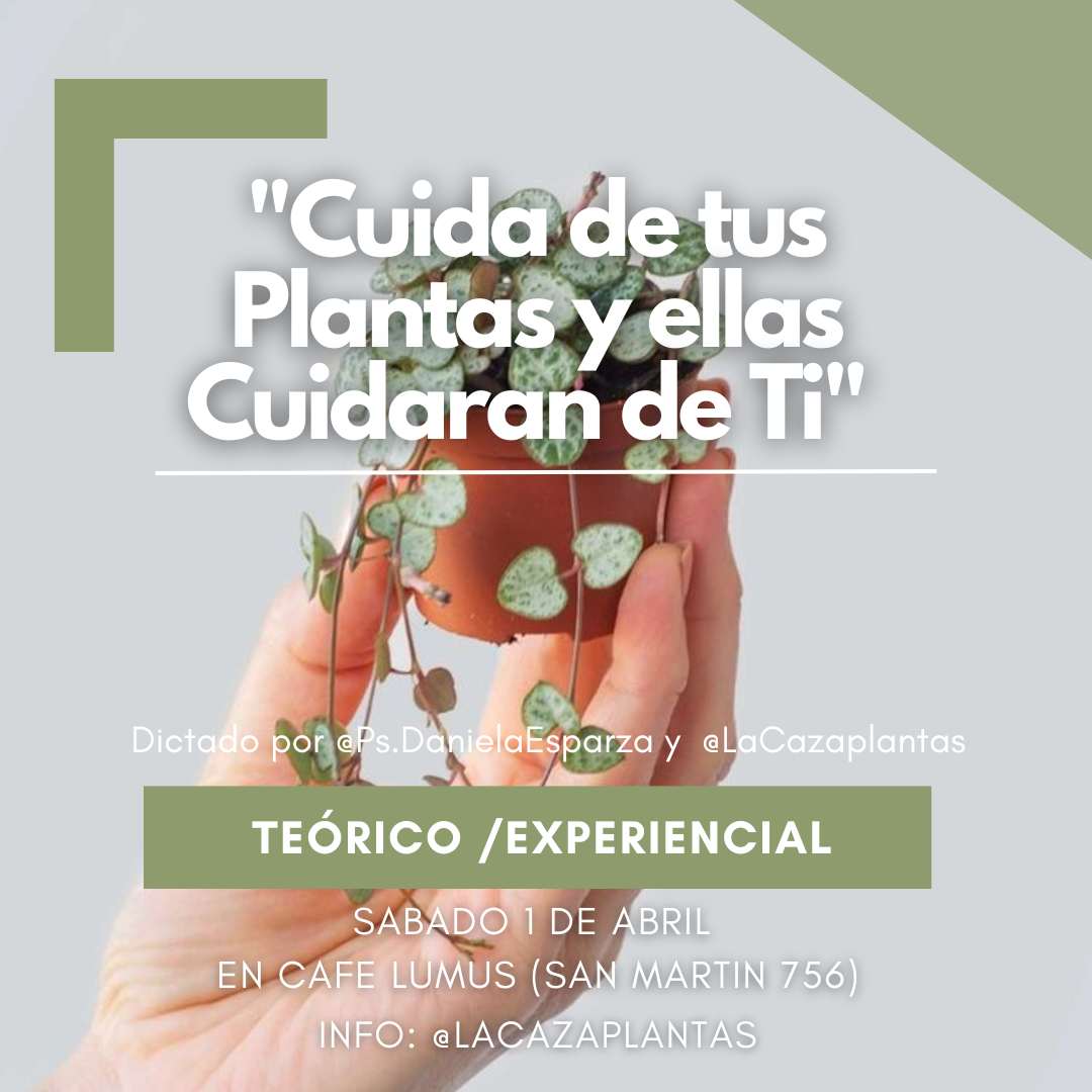 Taller "Cuida de tus plantas y ellas cuidaran de ti"