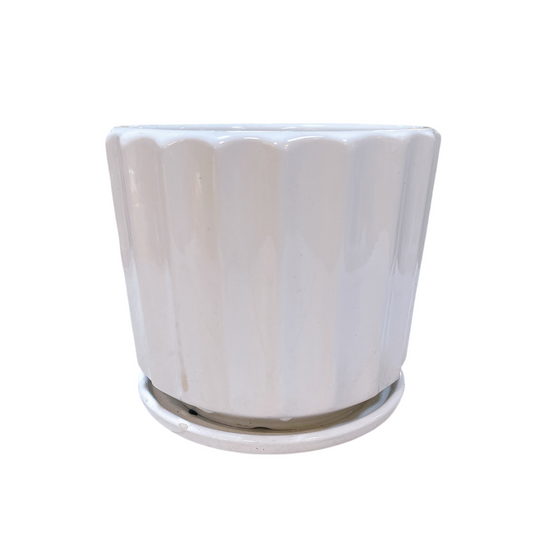Maceta Acanalada Blanca con plato