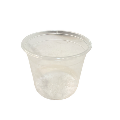 Maceta Transparente para Orquideas