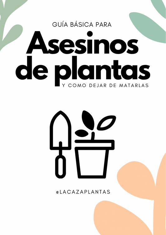 Guía de Cuidados para plantas de interior