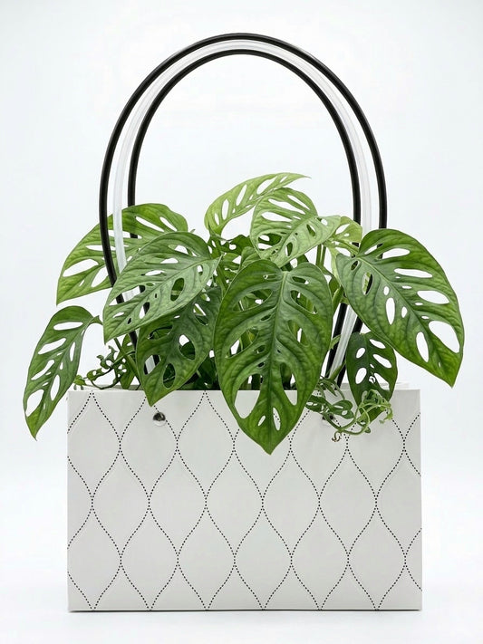 Bolsa de Regalo blanca y dorada (34 cm)