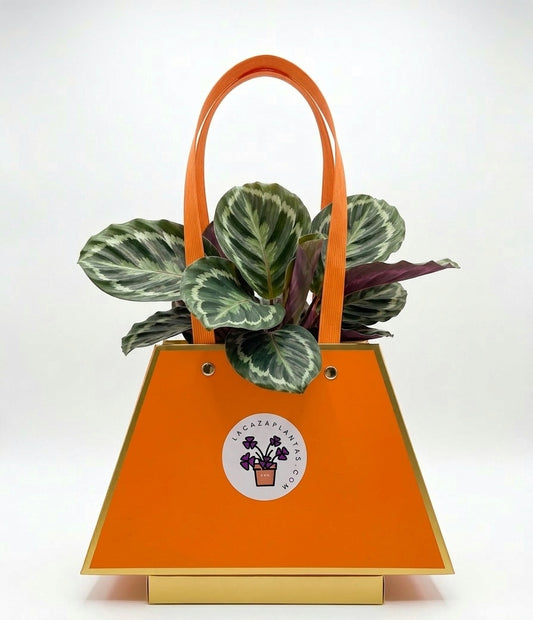 Bolsa de Regalo Naranja con Detalles Dorados (30 cm)