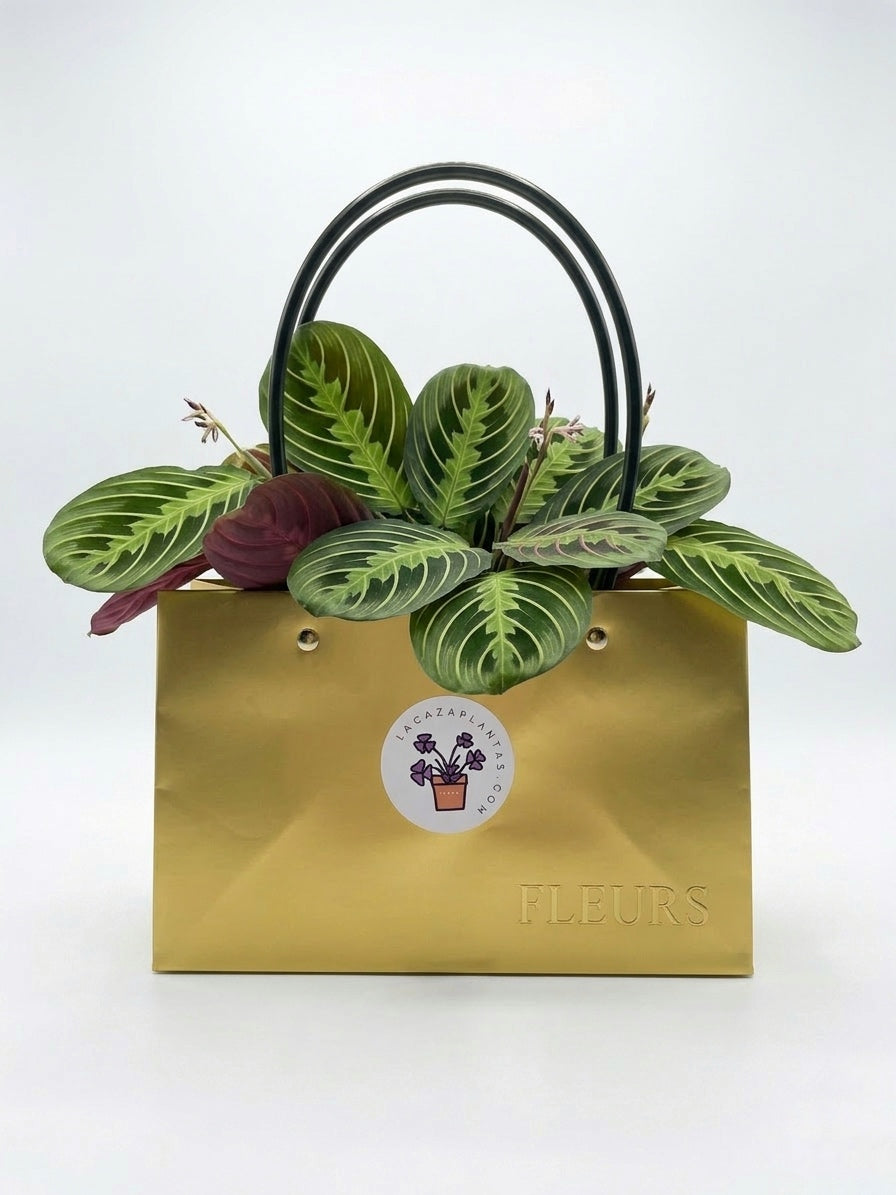 Bolsa de Regalo Dorada (34 cm)