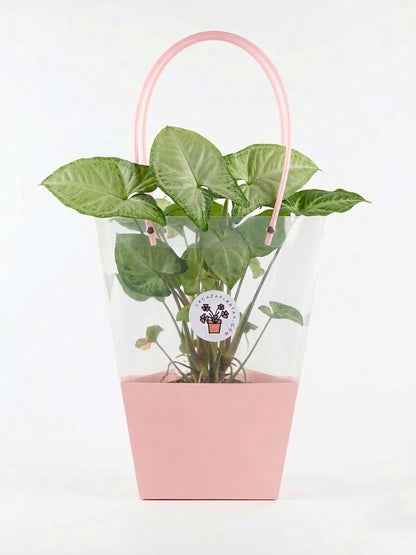 Bolsa de regalo Rosa