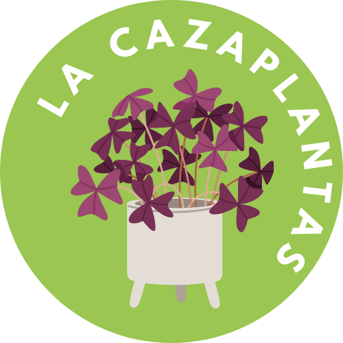 La Cazaplantas