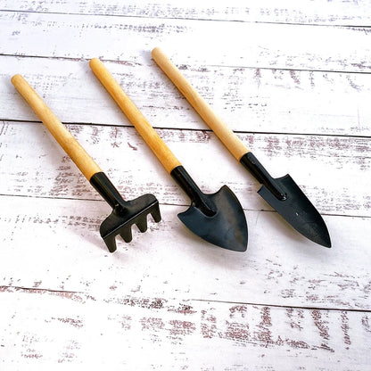 Set herramientas para plantas de interior
